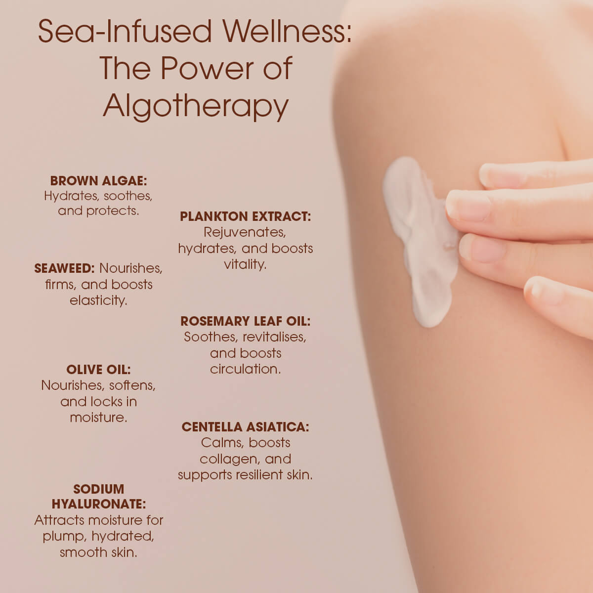 Algotherapy Ingredients Graphic