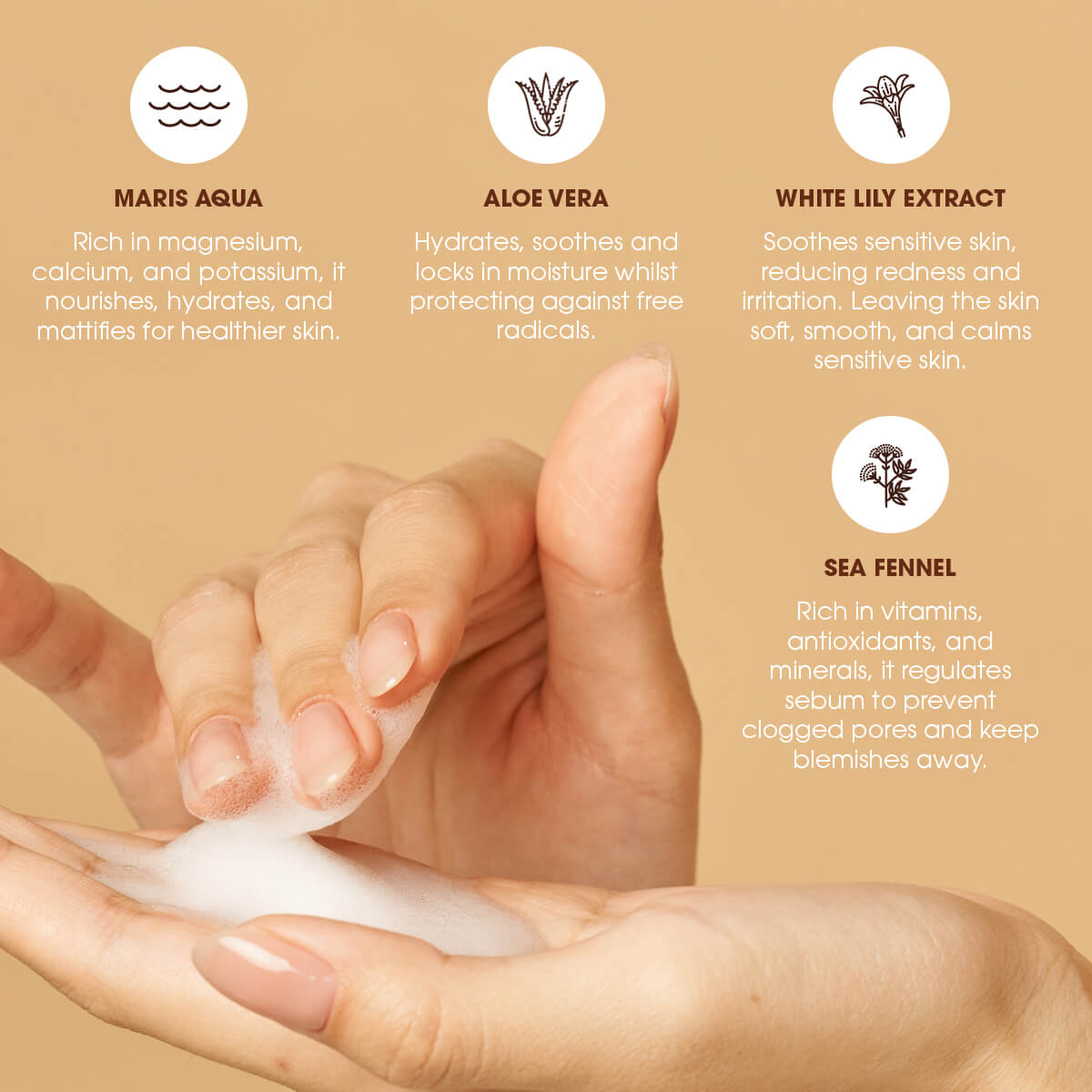 Face Foam Key Ingredients